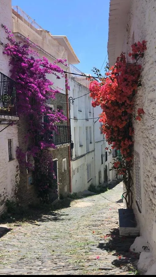 Cozy Townhouse in Cadaqués by Coderch Milá - Vila Casa de Férias